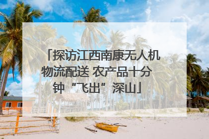 探访江西南康无人机物流配送 农产品十分钟“飞出”深山